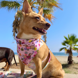 Bee Happy Dachshunds Bandana - Tie on