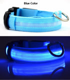 LED Glow in the Dark / Light Up Dog Collar - Blue