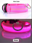 LED Glow in the Dark / Light Up Dog Collar - Pink