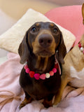 Handmade Valentine Beaded Dog Collar