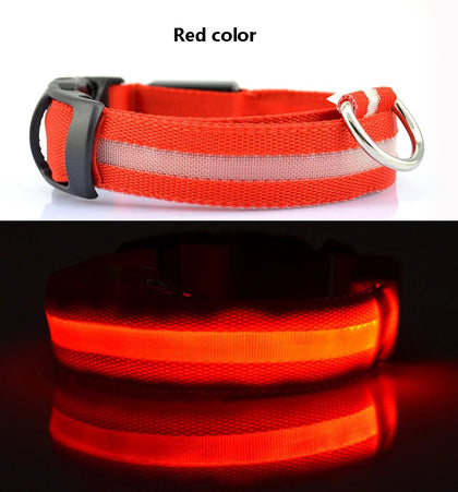 LED Glow in the Dark / Light Up Dog Collar - Red