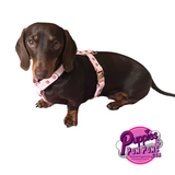 Handmade Custom Fitted Biothane Dog Harness - Vegan Leather / Waterproof Biothane