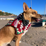 Christmas Scarf - Crochet Stripes