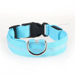 LED Glow in the Dark / Light Up Dog Collar - Blue