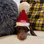 Christmas Santa Hat - Crochet