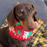 Red White & Green Crochet Dog Snood / Buff