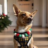 Christmas Pom Pom Dog Collar -  Elf Green