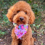 Bee Happy Dachshunds Bandana & Scrunchie Pack