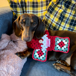 Christmas Scarf - Red Crochet