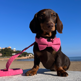 Dog Bow Tie - Luxe Pink Corduroy