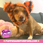 Dog Snood / Buff / Hat - Tiger