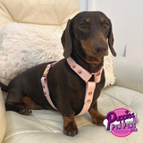 Handmade Custom Fitted Biothane Dog Harness - Vegan Leather / Waterproof Biothane