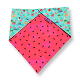 Dog Bandana - Summer Pool Party Watermelon - Snap On