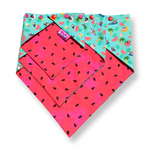 Dog Bandana - Summer Pool Party Watermelon - Snap On