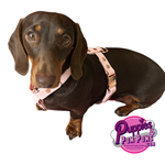 Handmade Custom Fitted Biothane Dog Harness - Vegan Leather / Waterproof Biothane