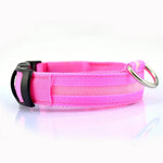 LED Glow in the Dark / Light Up Dog Collar - Pink