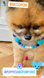 Personalised Pom Pom Dog Collar - Blue