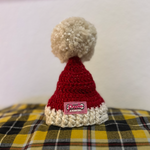 Christmas Santa Hat - Crochet