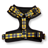 Harness - Cornish Tartan - As Seen in Vogue