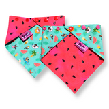 Dog Bandana - Summer Pool Party Watermelon - Snap On