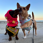 Crochet Dog Balaclava Hat - Hot Pink