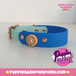 Custom Dog Collar - 25mm / 2 Colour - Vegan Leather / Biothane