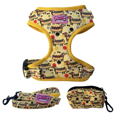 Hot Dog Dachshunds - Walking Pack