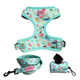 Walking Set - Summer Puppy Pawl Pawty