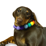 Personalised Pom Pom Dog Collar - Rainbow