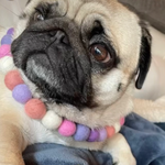 Lavender & Pinks - Personalised Pom Pom Dog Collar - As seen in Vogue