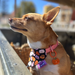 Happy Halloween Pumpkin Dog Bandana