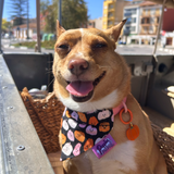 Happy Halloween Pumpkin Dog Bandana