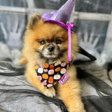 Happy Halloween Pumpkin Dog Bandana