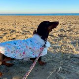 Handmade Spring Dogs Floral Print Coat