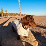 Handmade Floral Dog Print Coat