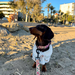 Handmade Floral Dog Print Coat