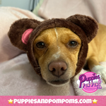 Dog Snood / Buff / Hat - Brown Teddy Bear