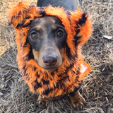 Dog Snood / Buff / Hat - Tiger