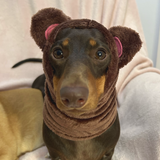 Dog Snood / Buff / Hat - Brown Teddy Bear