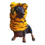 Dog Snood / Buff / Hat - Tiger