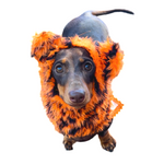 Dog Snood / Buff / Hat - Tiger