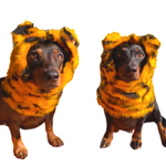 Dog Snood / Buff / Hat - Tiger