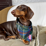 Cornish Hunting Tartan - Bandana - Tie-on