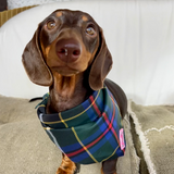 Cornish Hunting Tartan - Bandana - Tie-on