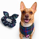 Cornish Hunting Tartan - Bandana & Scrunchie Pack