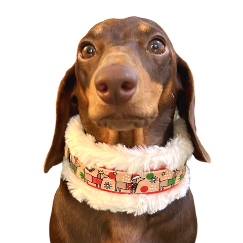 Christmas Dachshunds - Handmade Fluffy Biothane Dog Collar - 25mm