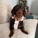 Christmas Dachshunds Handmade H Dog Harness - Fluffy Faux Fur