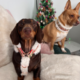 Christmas Dachshunds Handmade H Dog Harness - Fluffy Faux Fur