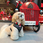 Christmas Pom Pom Dog Collar - Big Balls - Traditional Holly Green