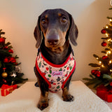 Christmas Dachshunds Harness